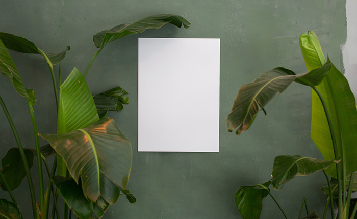 The perfect A3 Canvas Size For your Home Decor - Canvas Photos, Canvas ...