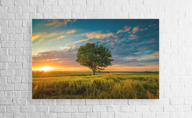  Landscape Canvas Prints